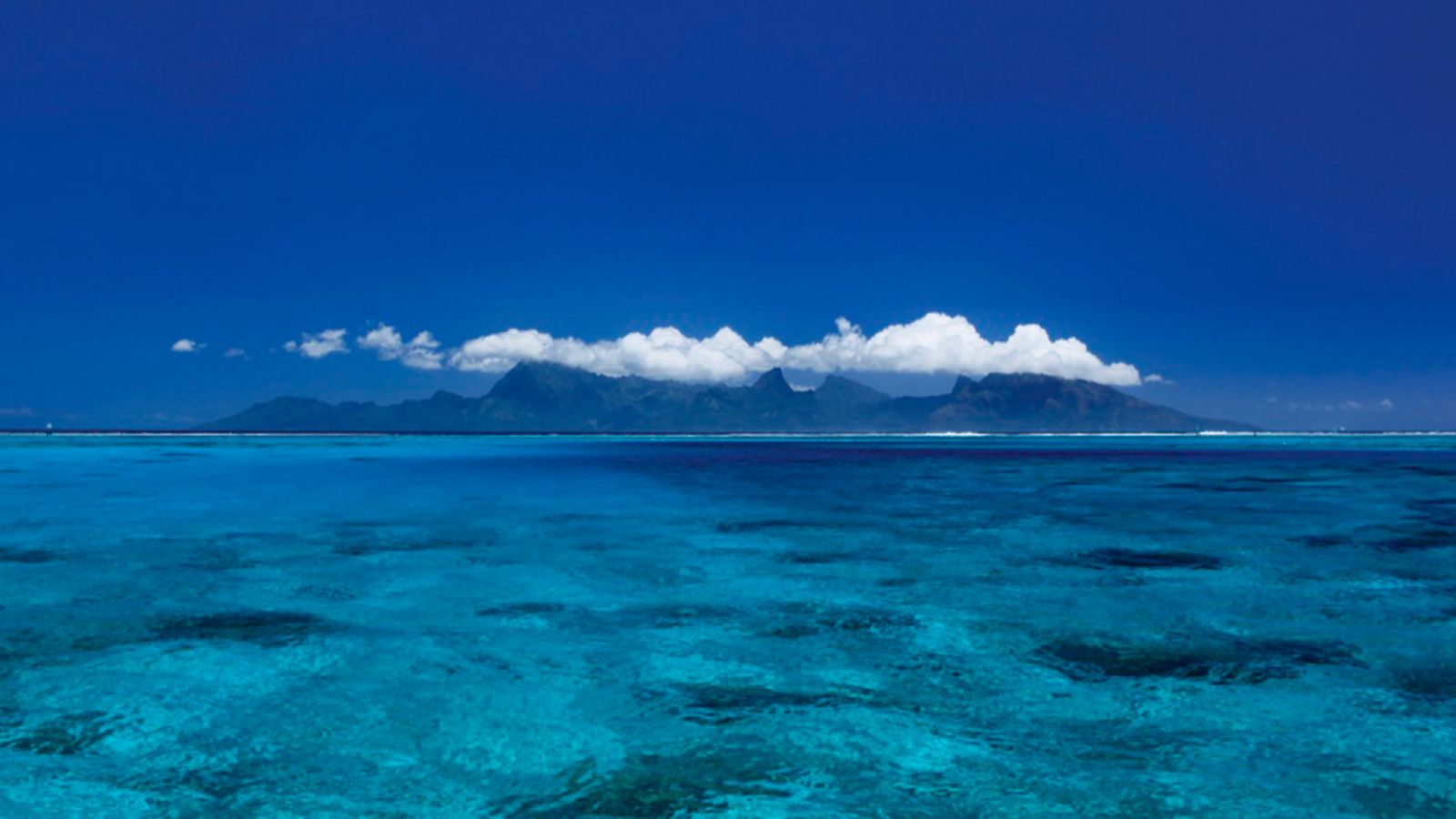 Our rates - Fluid Plongée Tahiti | Diving Center Tahiti